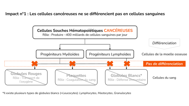 Les cellules cancéreuses scheme