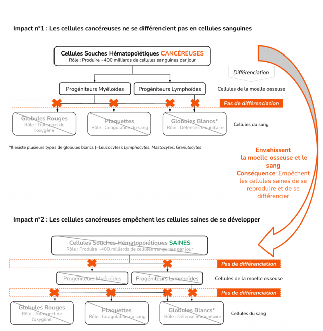 Scheme impact leucemie 2